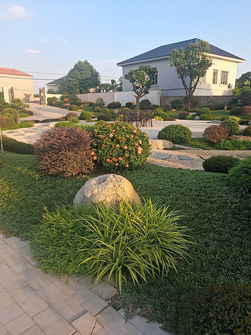 Sân vườn xanh mướt